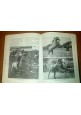 A CAVALLO COME E DOVE di Lucio Lami 1971 Aldo Martello libro manuale