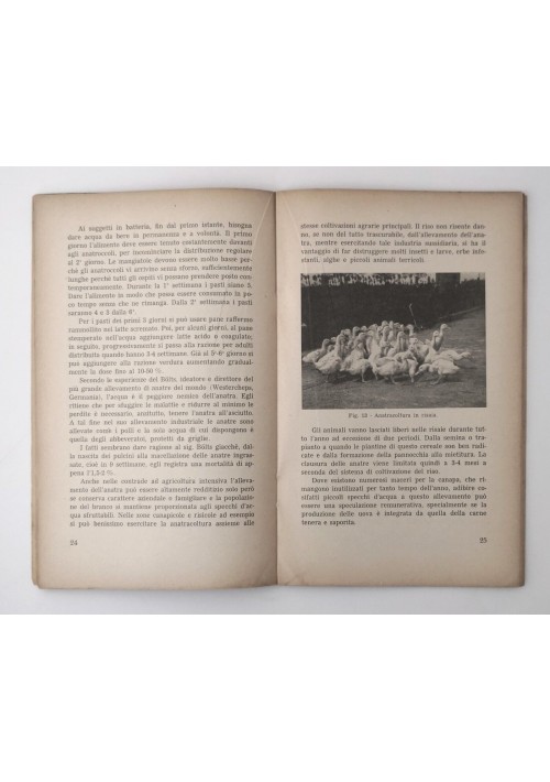 ANATRACOLTURA di Giuseppe Zanoni 1955 Edizioni Agricole libro manuale istruzione