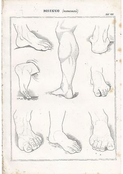 BELLE ARTI disegno estremità piedi polpacci INCISIONE STAMPA RAME 1866 ORIGINALE