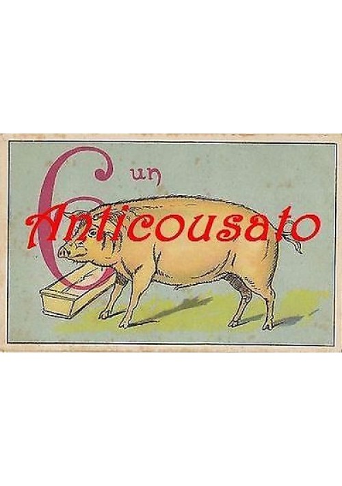 CARTOLINA SEI UN PORCO - ORIGINALE ANNI '20 COLORI UMORISTICA ANTICA