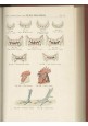 ESAURITO - DIZIONARIO VETERINARIO 2 volumi di P. Cagny e H. J. Gobert 1907 UTET