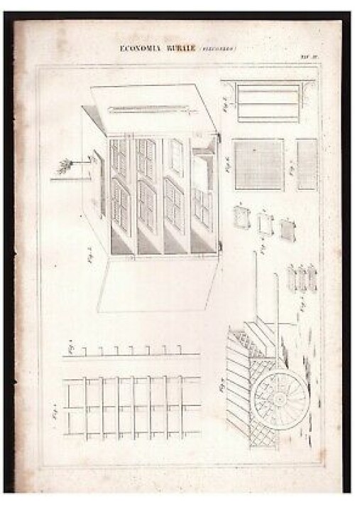 ECONOMIA RURALE Filugello tavola III INCISIONE STAMPA 1866 disegno antica