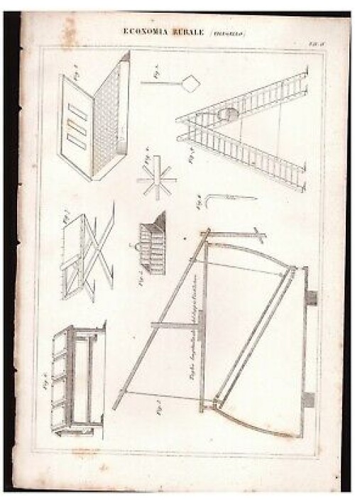 ECONOMIA RURALE Filugello tavola IV INCISIONE STAMPA antica 1866 disegno 