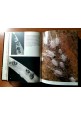 esaurito - ENCICLOPEDIA ILLUSTRATA DEGLI INSETTI di V Stanek 1970 edizioni La pietra libro