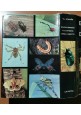 esaurito - ENCICLOPEDIA ILLUSTRATA DEGLI INSETTI di V Stanek 1970 edizioni La pietra libro