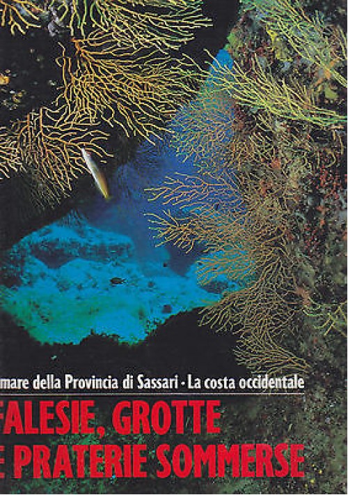 FALESIE GROTTE E PRATERIE SOMMERSE il mare della provincia di Sassari 1991 Pizzi