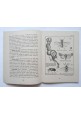 esaurito - I DEVASTATORI DELL'ORTO di Antonio Calzecchi Onesti 1941 Libro collana massaia
