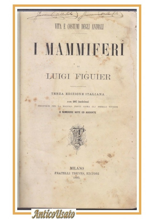 I MAMMIFERI di Luigi Figuier  1880 Treves libro antico illustrato vita animali