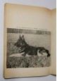 IL CANE DA PASTORE TEDESCO di Fiorenzo Fiorone 1976 libro addestramento malattie