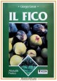 esaurito - IL FICO di Giorgio Grassi manuale pratico 1991 Reda Libro frutto albero