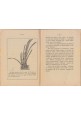 IL MARE GLI ANIMALI MARINI E LA PESCA di Bruno Monterosso 1923 libro agricoltura