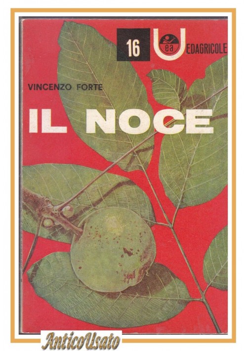 IL NOCE di Vincenzo Forte 1963 Universale Edagricole libro sulla coltivazione