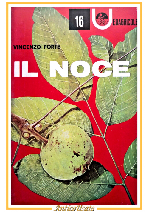 IL NOCE di Vincenzo Forte 1977 Edizioni Agricole libro manuale coltivazione