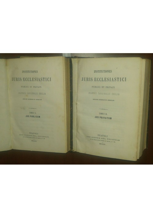 INSTITUTIONES JURIS ECCLESIASTICI PUBLICI ET PRIVATI Joannis Soglia 1860 Dura