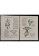 INTRODUCTION A L'ENTOMOLOGIE volume I di R Jeannel. Edition Boubee 1945 Anatomie