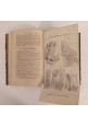 LA CLINICA VETERINARIA annata complet 1886 di Lanzillotti Buonsanti Libro Antico