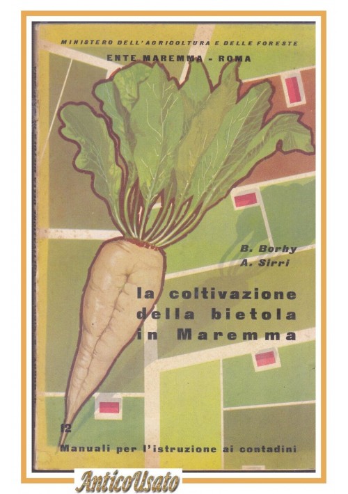 LA COLTIVAZIONE DELLA BIETOLA IN MAREMMA di Borhy e Sirri 1956 Edizioni Agricole