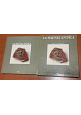 ESAURITO - LA DAUNIA ANTICA dalla preistoria all'altomedioevo 1984 Electa libro storia