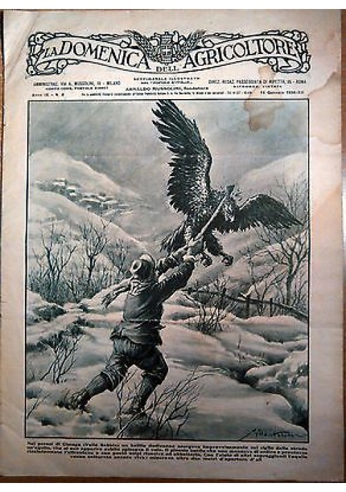 LA DOMENICA DELL’AGRICOLTORE 14/01/1934 illustrato Cimego Valle Sabbia