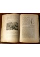 ESAURITO - LA GRANDINE di Domenico Pinolini 1921 libro Vallardi danni produce piante metodi