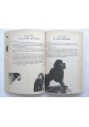 ESAURITO - L'ALBERO DEL RICCIO di Antonio Gramsci 1973 Editori Riuniti libro fiabe illustra
