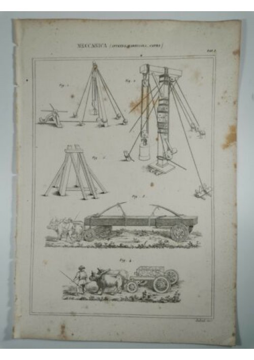 MECCANICA ANTENNA CARRUCOLA CAPRA Incisione Stampa antica 1866 Tavola Originale