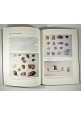 MUSEO CIVICO DI CONVERSANO la sezione archeologica di Vito L'Abbate 1990 libro