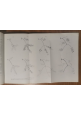 ESAURITO - OLIVICOLTURA MERIDIONALE di Raffaele Pastore 1957 Laterza Libro manuale olio