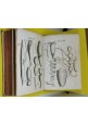ESAURITO - OSSERVAZIONI DI FRANCESCO REDI INTORNO AGLI ANIMALI VIVENTI 1687 libro antico