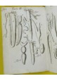 ESAURITO - OSSERVAZIONI DI FRANCESCO REDI INTORNO AGLI ANIMALI VIVENTI 1687 libro antico