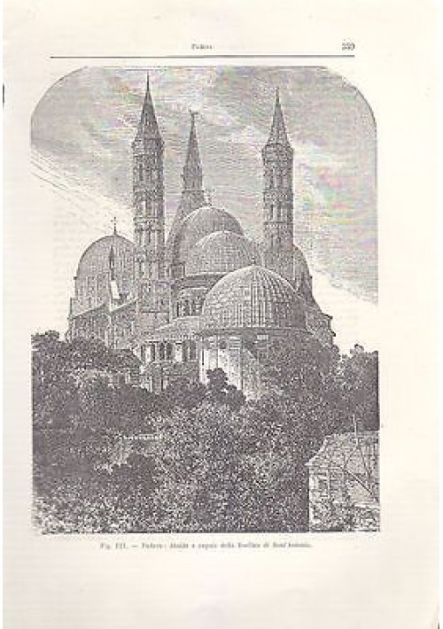 PADOVA ABSIDE E CUPOLE DELLA BASILICA DI SANT'ANTONIO  incisione originale 1902 