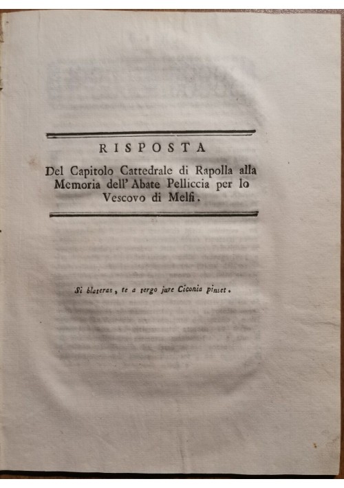 RISPOSTA DEL CAPITOLO CATTEDRALE DI RAPOLLA AL VESCOVO MELFI 1803 libro antico