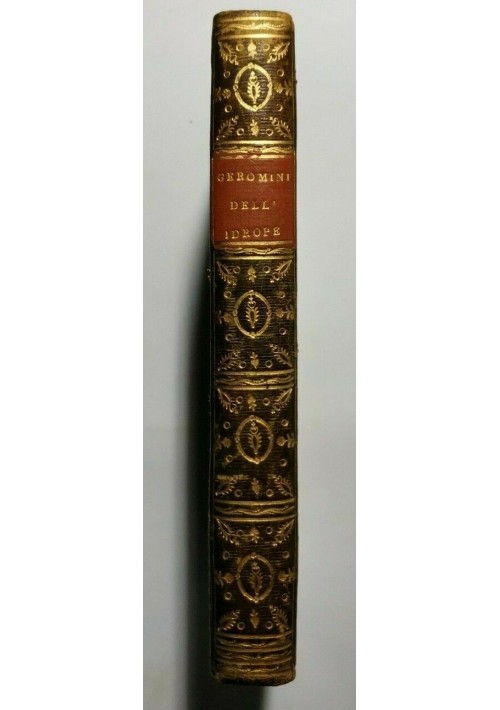 SULLA GENESI E CURA DELL'IDROPE saggio di Geromini 1816 libro antico medicina