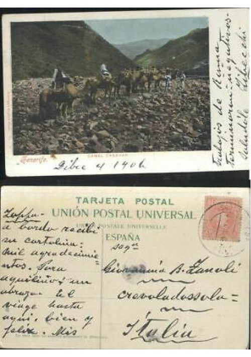 TENERIFE CAMEL CARAVAN  cartolina viaggiata 14/12/1904 postcard tarjeta postal 