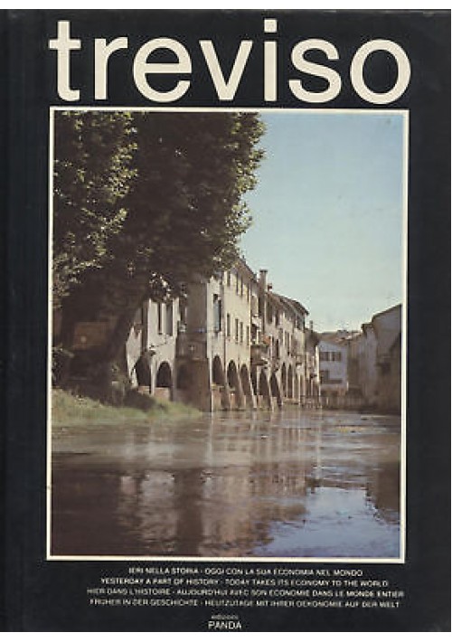 ESAURITO - TREVISO E LA SUA PROVINCIA ieri nella storia oggi con la sua economia nel mondo